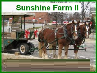 Sunshine Farm II in Chicago, IL
