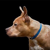 F8 Photography And Digitial Design in Duluth, GA