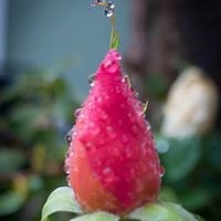 Jason Rendel Photography in Corte Madera, CA