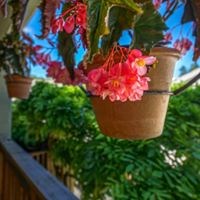 Michael McInerney Tour Factory Photographer in Corte Madera, CA