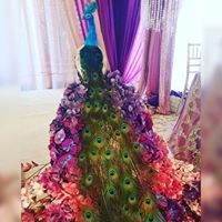 Glamorous Events By Petielini in Nipomo, CA