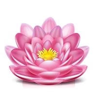 Simona Yoga in Plainview, NY