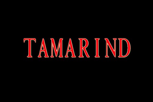 Tamarind Indian Street Food in Norfolk, VA