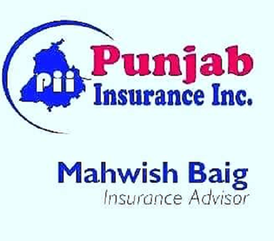 Mahwish Baigh Insurance Advisor in Toronto, ON