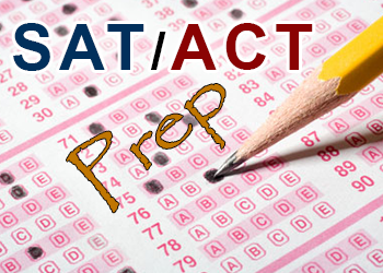 Ragini Vashi Tutor in Novi, MI