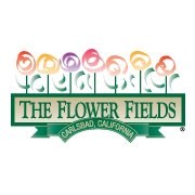 The Flower Fileds in Carlsbad, CA