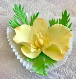 Ninoshka's Cakes in Missouri City, TX