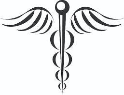 Pallavi V Rawtani MD in Memphis, TN