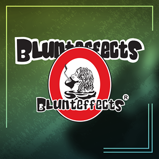 Blunteffects Air Fresheners And Incense in Tucker, GA