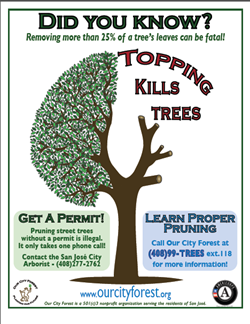 Jashan Landscaping & Gardening in Surrey, BC