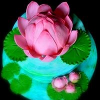 Cake D'Arte in Austin, TX