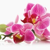 Kriti Beauty Salon