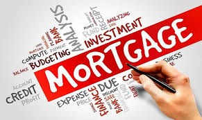 Elnur Arbashiyev Mortgage Professional in Mississauga, ON