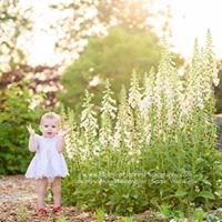 Heleyna Holmes Photography in Seattle, WA