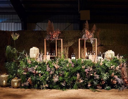 Firefly Events in Forestville, CA