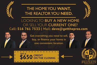 Property Professionals
