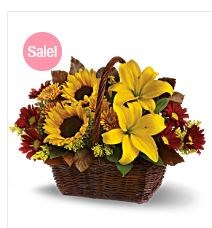 Arcadia Flowers in Apache Junction, AZ