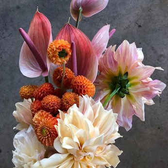 Camelback Flowershop in Apache Junction, AZ