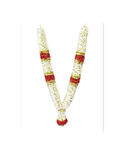 Aprile Florist in North York, ON