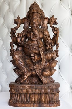 ArtQuest Flowers in San Diego, CA