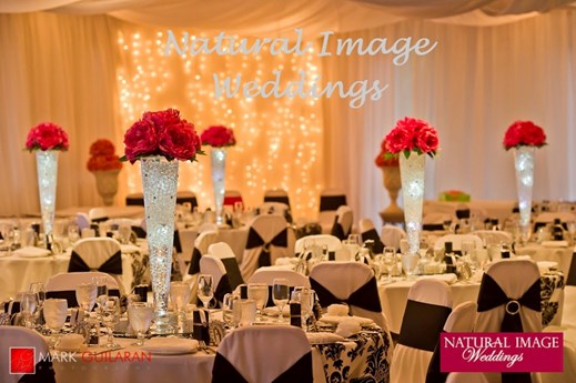Natural Image Weddings in Vancouver, BC