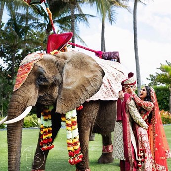 EC Floral Design & Events in Miami, FL