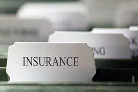 Janritz M Panganiban Insurance Agent