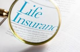 Maranda Yen Insurance Agent