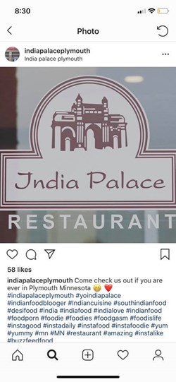 India Palace Plymouth in Minneapolis, MN