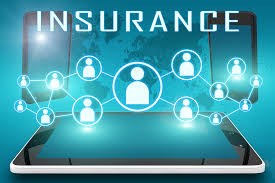 Mineshkumar B Patel Insurance Agent