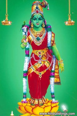 Shri Meenakshi Mariamman Temple in New York, NY