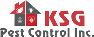 KSG Pest Control Inc in Brampton, ON
