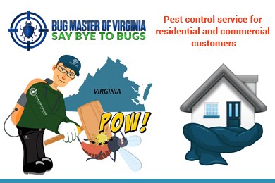 Bug Master Of Virginia in Carson, VA