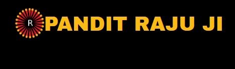 Pandit Raju Ji Vedic Astrologer in Surrey, BC