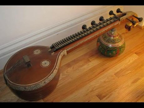 Ram Naidu Veena Artist in Newton Center, MA