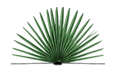 Folk Life In Louisiana in Baton Rouge, LA