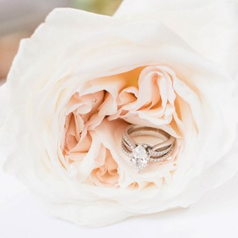 Pure Elegance Events in Alexandria, VA