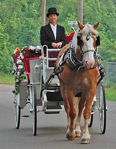 Lotsa Spots Carriage in Addison, TX