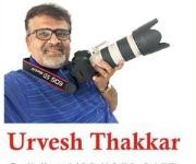 KLICK Photographers in Algonquin, IL