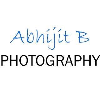 Abhijit B Photography in Buffalo Grove, IL