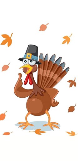 Anita Jeanine Photography in Calgary, AB