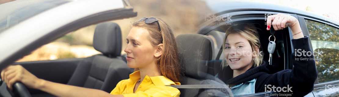 Asian Driving School in Irving, TX