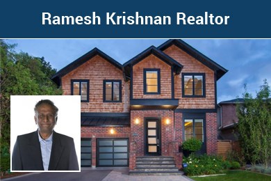Ramesh Krishnan Realtor