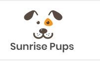 Sunrise Pups in Columbus, OH