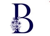 B Kubic Photography in West Bloomfield, MI