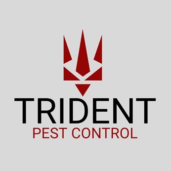 Trident Pest Control in Brampton, ON
