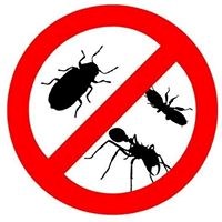 Safex Pest Control in Brampton, ON