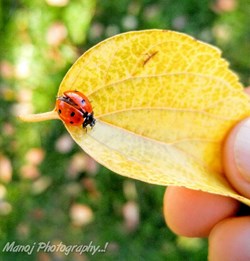 Manoj Photography in Atlanta, GA