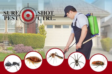 Sure Shot Pest Control in Bergenfield, NJ