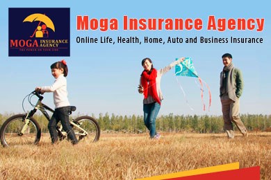 Moga Insurance Agency
